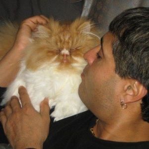 Meet your Posher, Sam